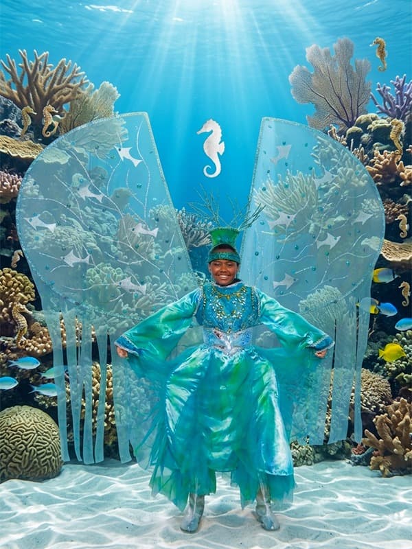 Buccoo Reef Life